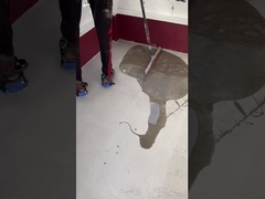 에포시 플레이크 코팅: 바닥 에 대한 현명한 선택